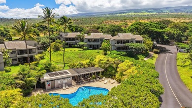 The Ultimate Ocean View You've Been Waiting For at Wailea Ekolu - photo 40
