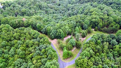 PREMIUM BUILDING SITE ON 9+ ACRES IN LAKE ADGER COMMUNITY, Mill - photo 1
