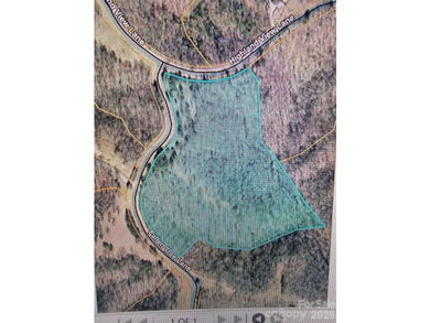 PREMIUM BUILDING SITE ON 9+ ACRES IN LAKE ADGER COMMUNITY, Mill - photo 2