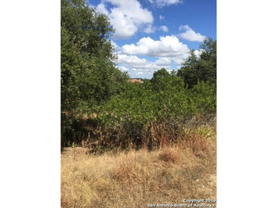 605 acre lot located in peaceful community of Canyon Lake. This - photo 4
