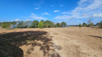 Lake Lot For Sale in Midland City, Alabama