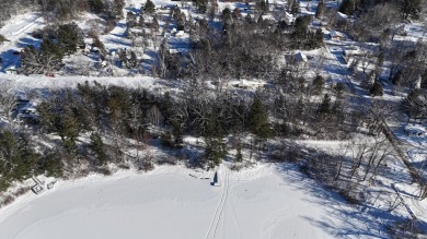 Lake Lot For Sale in Wellston, Michigan