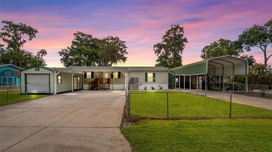 Lake Home For Sale in Astor, Florida
