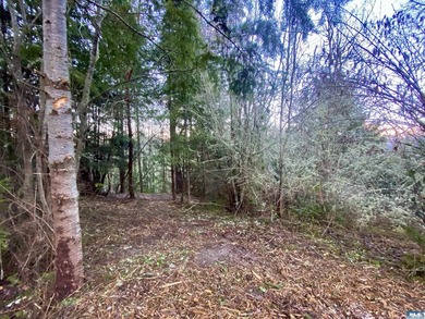 Rare and beautiful peaceful 2.6-acre cleared to build with - photo 11