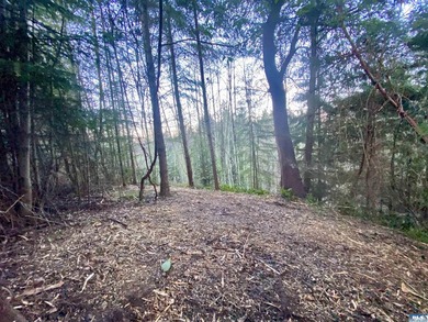 Rare and beautiful peaceful 2.6-acre cleared to build with - photo 12