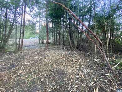 Rare and beautiful peaceful 2.6-acre cleared to build with - photo 13
