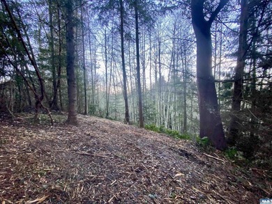 Rare and beautiful peaceful 2.6-acre cleared to build with - photo 14