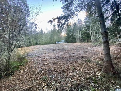 Rare and beautiful peaceful 2.6-acre cleared to build with - photo 18