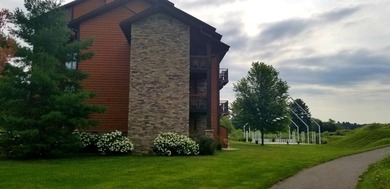 Ready to be a part of the Wisconsin Dells Waterpark Resort - photo 18