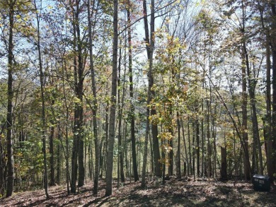 Lake Lot For Sale in Cashiers, North Carolina