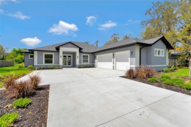 Lake Hendon Reserve Home Sale Pending in Saint Cloud Florida