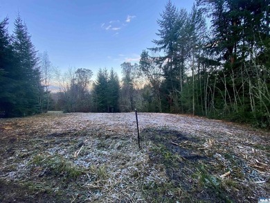 Rare and beautiful peaceful 2.6-acre cleared to build with - photo 21