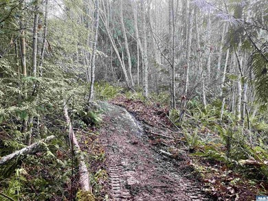 Rare and beautiful peaceful 2.6-acre cleared to build with - photo 22