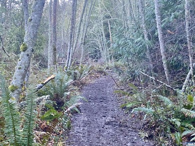 Rare and beautiful peaceful 2.6-acre cleared to build with - photo 24