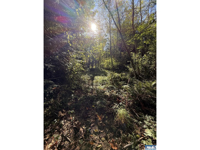 Rare and beautiful peaceful 2.6-acre cleared to build with - photo 25