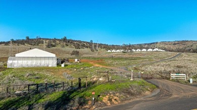 (private lake, pond, creek) Acreage For Sale in Copperopolis California