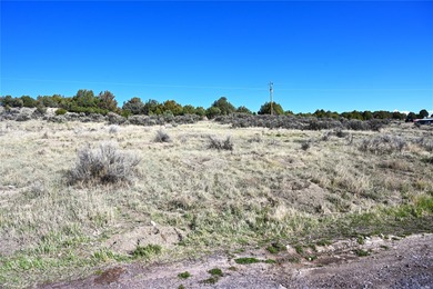 Lake Acreage For Sale in Tierra Amarilla, New Mexico