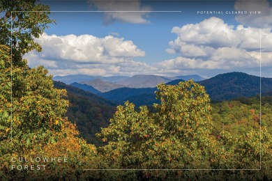 Lake Glenville Acreage Active Under Contract in Cullowhee North Carolina