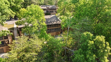 Large Lakeview condo located in Woodson Bend Resort. This - photo 38