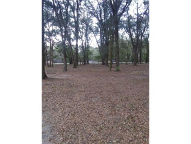(private lake, pond, creek) Acreage For Sale in Dade City Florida