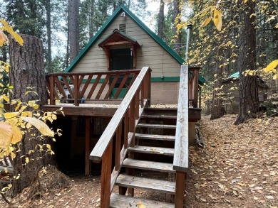 Lake Home For Sale in Arnold, California