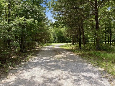 Only a few miles to Burnt Cabin Marina! Beautiful home secluded - photo 30