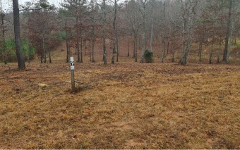 NORTH GEORGIA MOUNTAIN LOT LOCATED IN A PREMIER GATED - Lake Lot For Sale in Blairsville, Georgia