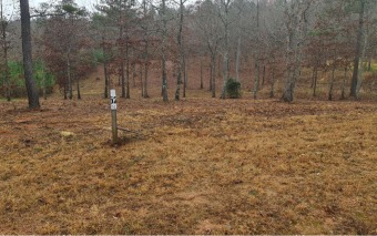 Lake Nottely Lot Sale Pending in Blairsville Georgia