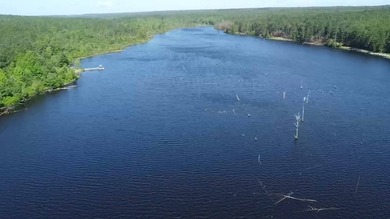 Lake Robinson - Chesterfield / Darlington Acreage For Sale in Hartsville South Carolina