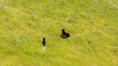 Imagine leaving the bustle of the Bay Area behind and arriving - photo 4