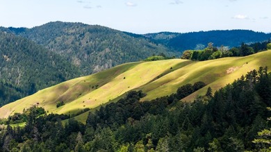 Imagine leaving the bustle of the Bay Area behind and arriving - photo 8