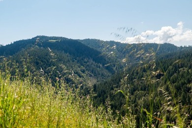 Imagine leaving the bustle of the Bay Area behind and arriving - photo 10