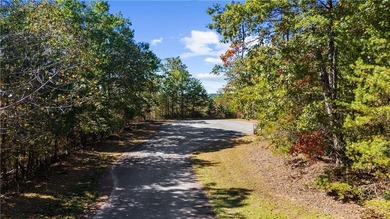 Build your dream home in Achasta! This exceptional .97-acre - photo 25