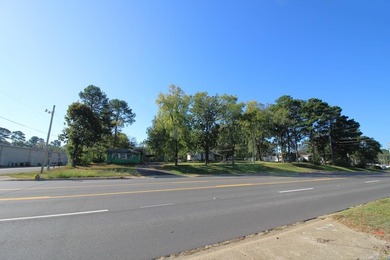 PRIME COMMERCIAL PROPERTY located just over the 70W bridge - photo 2
