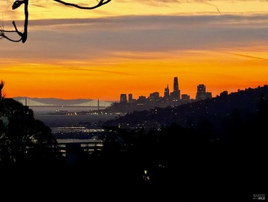 Situated in the sun-filled microclimate of Mill Valley's coveted - photo 40