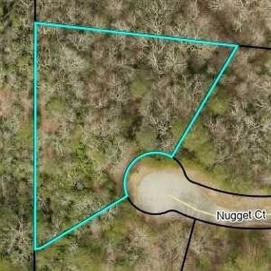 Build your dream home in Achasta! This exceptional .97-acre - photo 40