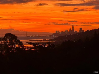 Situated in the sun-filled microclimate of Mill Valley's coveted - photo 41