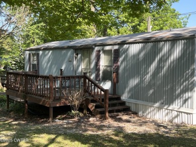 Lake Home For Sale in Springville, Tennessee