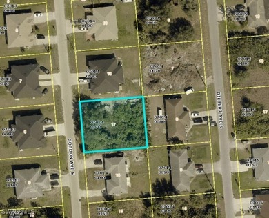 Lehigh Acres Area Lot For Sale in Lehigh Acres Florida