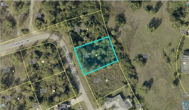Lehigh Acres Area Lot For Sale in Lehigh Acres Florida