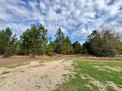 (private lake, pond, coastal) Acreage For Sale in Daphne AL