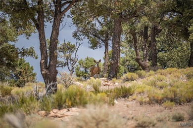 Eagle Ridge Ranch - A Rare 440-Acre Mountain Legacy This - photo 9