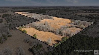 (private lake, pond, creek) Home For Sale in Doddridge Arkansas