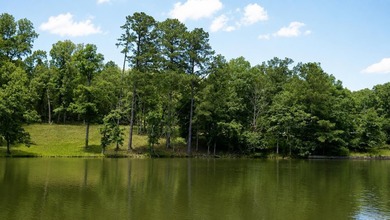 129 Ft of Lake Hamilton Waterfront | Build-Ready .75-Acre Lot | - photo 29