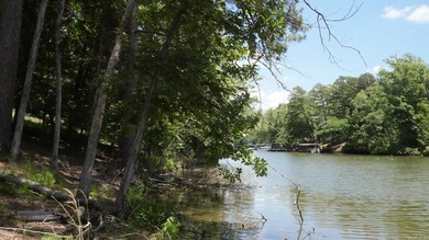 129 Ft of Lake Hamilton Waterfront | Build-Ready .75-Acre Lot | - photo 33