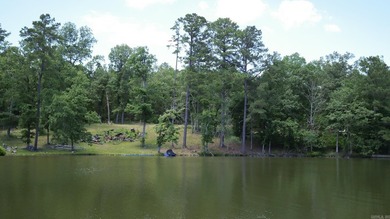 129 Ft of Lake Hamilton Waterfront | Build-Ready .75-Acre Lot | - photo 38