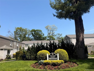 Fully Renovated 2 Bedroom Lower Unit Offering a Bright - photo 1