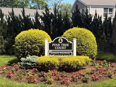 Fully Renovated 2 Bedroom Lower Unit Offering a Bright - photo 2