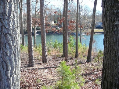 Beautiful lot in a restricted subdivision of nice Lakefront - photo 2