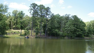 129 Ft of Lake Hamilton Waterfront | Build-Ready .75-Acre Lot | - photo 43